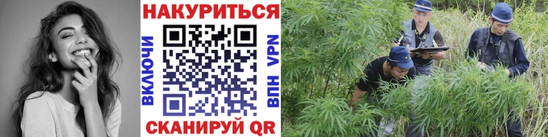 Бошки марихуана ГИДРОПОН  Буйнакск 